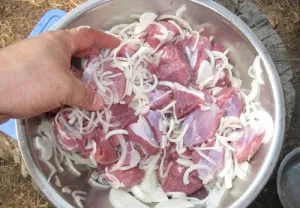 Egy gyors pác barbecue sertéshús recepteket és tippeket (receptek) Egy gyors pác barbecue sertéshús recepteket és tippeket