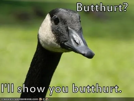 Batthert, Netlore butthurt, batthert, harag, booru, a gyűlölet, az érzelmek
