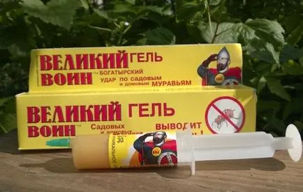 Küzdelem a hangyák saját nyaraló a hagyományos módszerek nem csak szeretik a kertben (csak) Küzdelem a hangyák saját nyaraló hagyományos módszerekkel és nem csak szeretik a kertemben