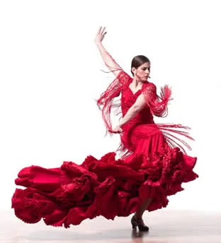 Mi Flamenco