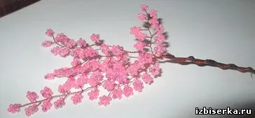 Cherry fa gyöngyök, gyöngyös fák (cseresznye) Cherry fa gyöngyök, gyöngy fák