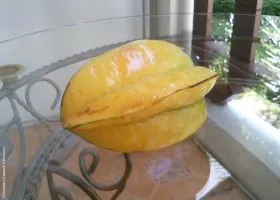 Durian hasznos tulajdonságok, kár, kalória, hogyan kell enni