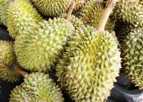 Durian hasznos tulajdonságok, kár, kalória, hogyan kell enni