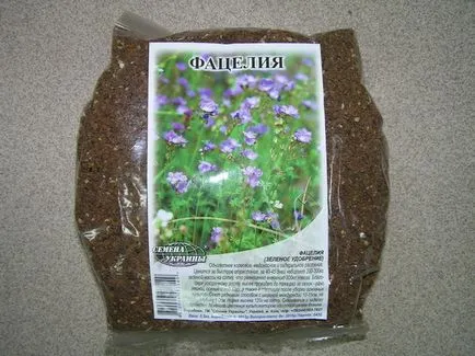 Phacelia mint siderate koca mikor és hogyan kell alkalmazni (siderate) Phacelia mint zöldtrágya ha a növény, és hogyan kell alkalmazni