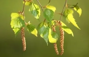 Gonarthrosis kezelt emberek jogorvoslatok