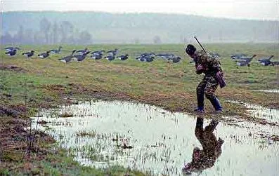 Goose Profile saját kezűleg