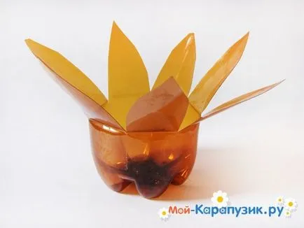 Hogyan, hogy a tenyér egy műanyag palack