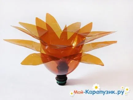 Hogyan, hogy a tenyér egy műanyag palack