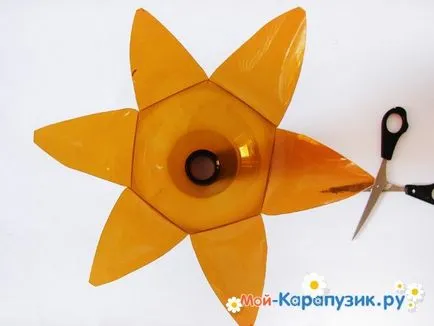 Hogyan, hogy a tenyér egy műanyag palack