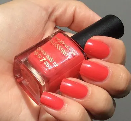 Max Factor Beszámolók