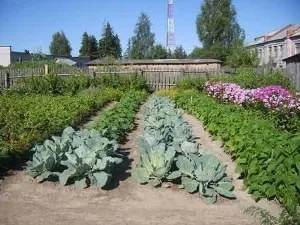 Kataszteri terv a föld, hogyan lehet