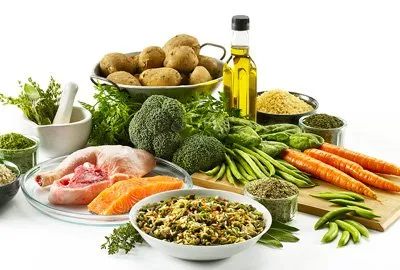 Milyen vitaminokra van szükség, hogy a kutyák