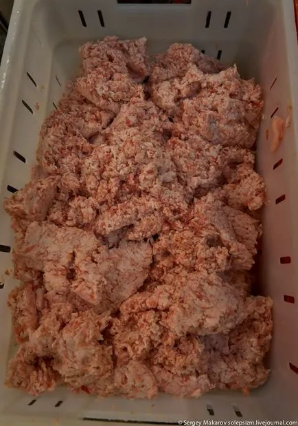 Hogyan készítsünk kolbász ez érdekes! (Kolbász) Hogyan készítsünk kolbász ez érdekes!