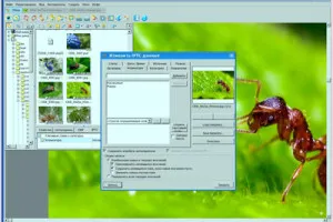 Hogyan átméretezése több kép egyszerre
