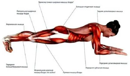 Hogyan kell építeni a tökéletes, gyönyörű hírek 30 napig