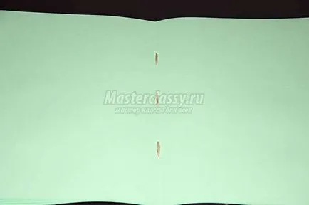 Hogyan készítsünk egy herbáriumi az album (hogyan kell felhívni a herbáriumi) Hogyan készítsünk egy herbáriumi albumban