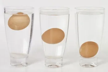 Főzni egy omlettet top 10 receptet (szakács) Főzni egy omlettet top 10 receptek