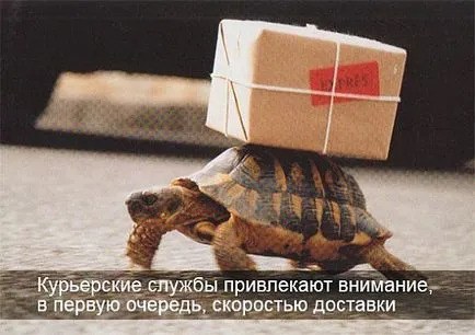 Hogyan kifejezni szállítás