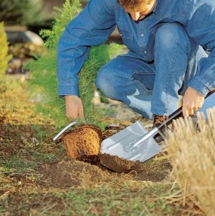 Hogyan válasszuk ki a megfelelő lapátot, az épület portál (kiválasztás) Hogyan válasszuk ki a megfelelő lapátot, az épület portál