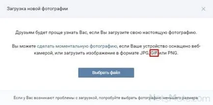 Hogyan készítsünk egy gif-animáció VKontakte