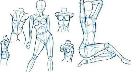 Hogyan kell felhívni az emberi test lépésről lépésre (test) Hogyan kell felhívni az emberi test lépésről lépésre