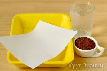 Hogyan készítsünk régi papírt kávé vagy tea a kezüket a hazai - körű ismerete