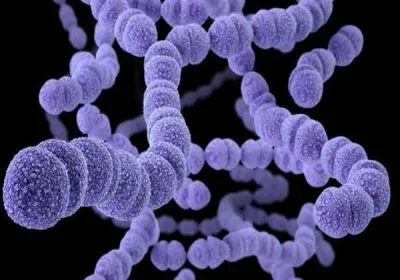 Pyelonephritis antibiotikus kezelés