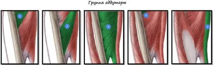 Hogyan lehet eltávolítani a zsírt a lyashek, belső comb