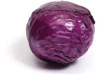 Hogyan válasszuk ki a káposzta