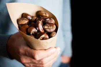 Chestnut haszon és kár, hogyan kell főzni, megőrizve a hasznos tulajdonságok, ellenjavallatok
