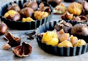 Chestnut haszon és kár, hogyan kell főzni, megőrizve a hasznos tulajdonságok, ellenjavallatok