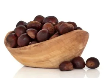 Chestnut haszon és kár, hogyan kell főzni, megőrizve a hasznos tulajdonságok, ellenjavallatok
