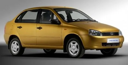 Lada Kalina megadását, illetve, hogy jobb, ha választani (Viburnum) Lada Kalina megadását, illetve, hogy jobb, ha választani