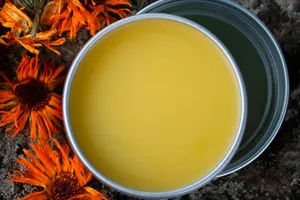 Calendula kenőcs oktatás a kérelmet, amit segít, ellenjavallatok (vélemény) (alkalmazás) Calendula kenőcs oktatás a kérelmet, amit segít, ellenjavallatok (vélemény)