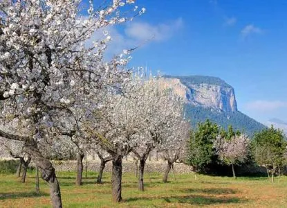 Mallorca - Guide, fotók, épületek