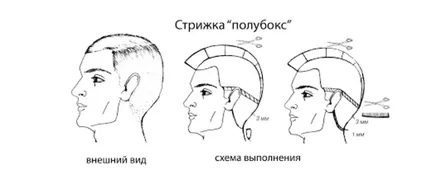 Grooming poluboks előnyei és jellemzői a teljesítmény (Grooming poluboks) Ápolás poluboks előnyei és jellemzői végrehajtás