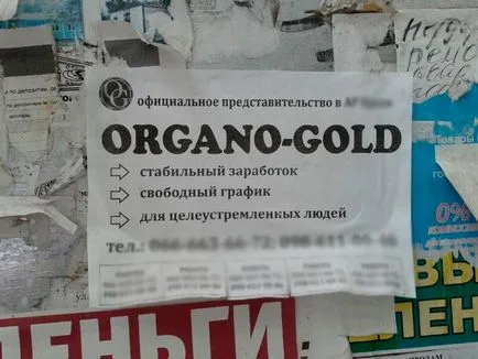 Hivatalos honlapján a „Organo Gold” vélemények arról - válás (tea) Hivatalos honlapján a „Organo Gold” vélemények arról - válás