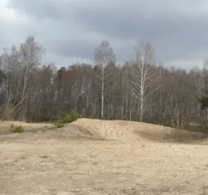 Homoktalajon a helyszínen, milyen a növény növények hozzon létre egy szép kert