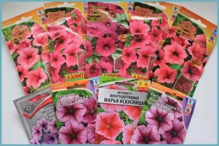 Petunia hang-Downing ültetés és gondozás, hány darab ültetni a cserépben, fotó a kertben (ellátás) Petunia hang-Downing ültetés és gondozás, hány darab ültetni a cserépben, kerti fotó