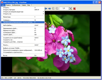 Batch feldolgozása képek és képek IrfanView Tanszék IT (képek) Batch feldolgozása képek és képek IrfanView, informatikai osztály