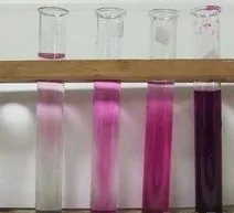 Pick a legjobb műtrágya a virágzó ibolyát, és megtanulják, hogyan kell helyesen etetni a (lila) Pick a legjobb műtrágya a virágzó ibolyát, és megtanulják, hogyan kell helyesen etetni a