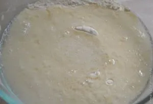 Pizza gombával és csirke vékony tészta (pizza otthon) Pizza gombával és csirke vékony tészta