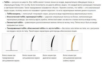 Miért macskák a homlokán azt jelenti, hogy a levél m betű m macskák a homlokán (betű) Miért macskák a homlokán azt jelenti, hogy a levél m betű m macskák a homlokán