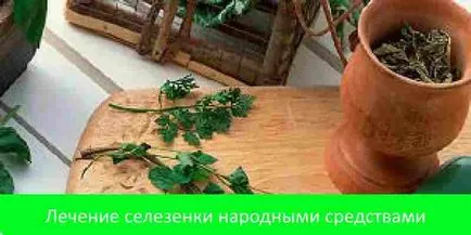 Megfelelő kezelés lépben hagyományos módszerek otthoni (home) Megfelelő kezelés lép hagyományos módszerek otthon
