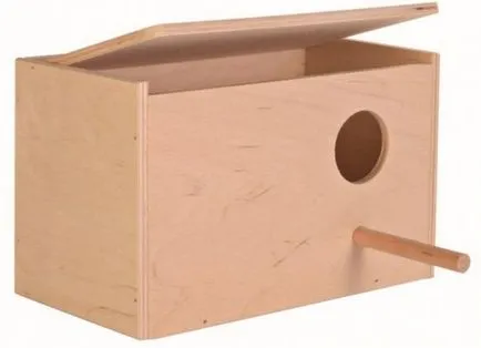 Parrot cockatiel - gondozás és karbantartás, hogyan kell tanulni beszélni (tanítani) Parrot cockatiel - gondozás és karbantartás, hogyan kell tanulni, hogy beszéljen