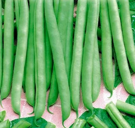 Ültetés bab, kertjében!