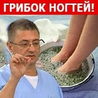 Sokszorosítása ficus dugványok - gyökereztető szabályoknak a víz és a talaj Videó (víz) Sokszorosítása ficus dugványok - gyökereztető szabályoknak a víz és a talaj Videó