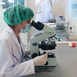Madárinfluenza emberi jelei és tünetei, kezelése és megelőzése (kezelés) Madárinfluenza emberi jelei és tünetei, kezelése és megelőzése