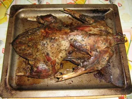 Profil lúd (költségvetési opció)