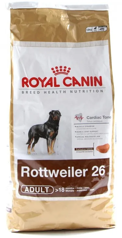 Rottweiler, a gyám a család